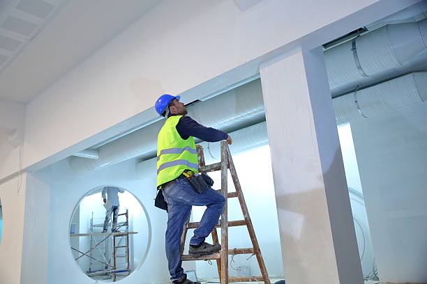 Best Comprehensive Air Testing for Mold Contaminants  in Willard, MO